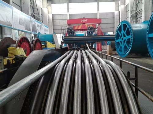 公司順利完成銅仁奧體中心密封繩生產(chǎn)，同步推進塑料管產(chǎn)銷業(yè)務